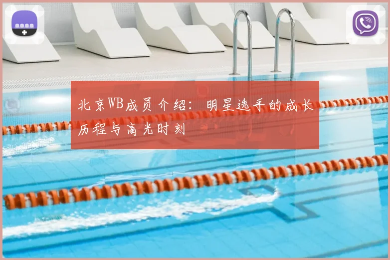 北京WB成员介绍:明星选手的成长历程与高光时刻