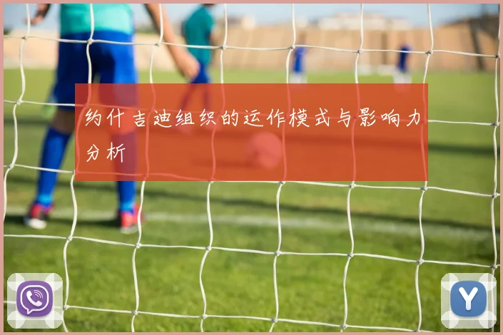 约什吉迪组织的运作模式与影响力分析