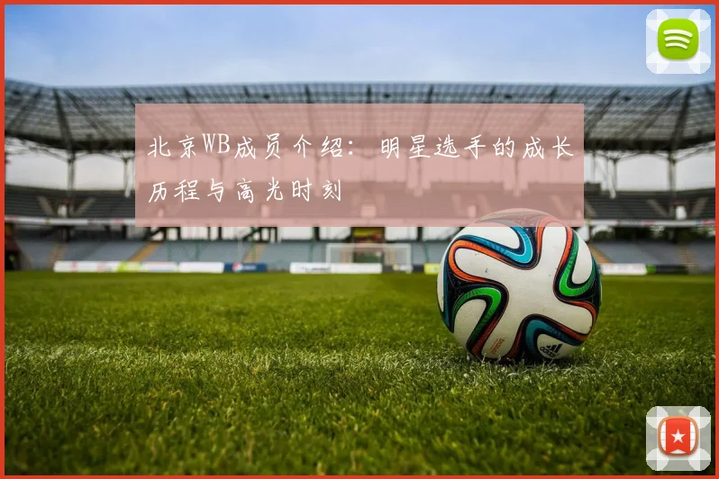 北京WB成员介绍:明星选手的成长历程与高光时刻