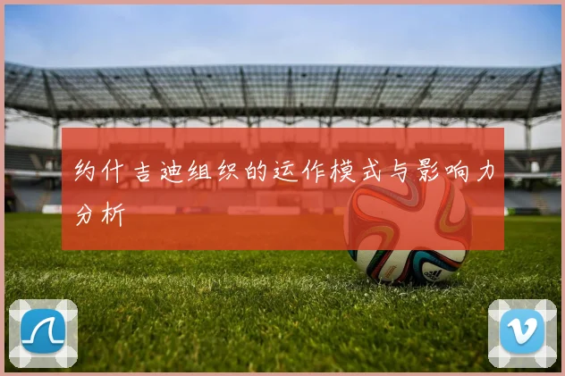 约什吉迪组织的运作模式与影响力分析